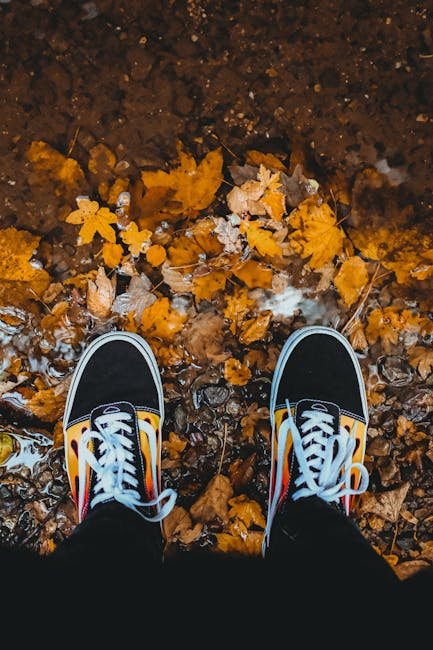 Skool platform features overview